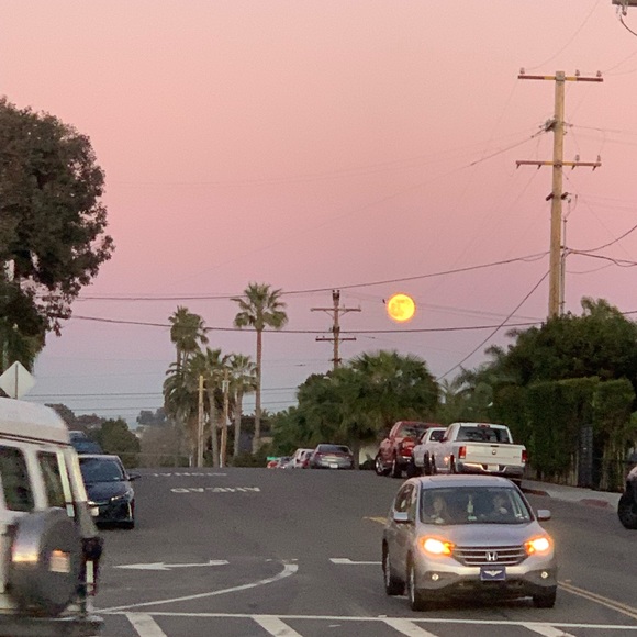 Meet your Posher, Annabelle - Picture 1 of 1